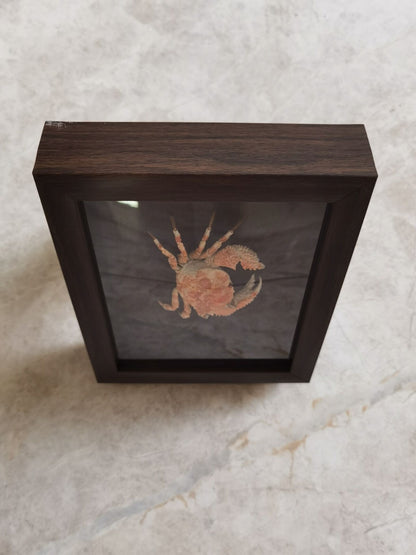 Collect Real Scaly Crab Statue Specimen Skeleton Animal Bone Decor