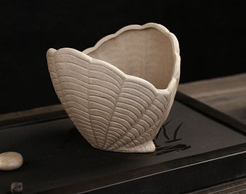 Flower Pot White Pottery Shell Shaped Succulent Plant Holder 21.5x11.5cm Ceramic