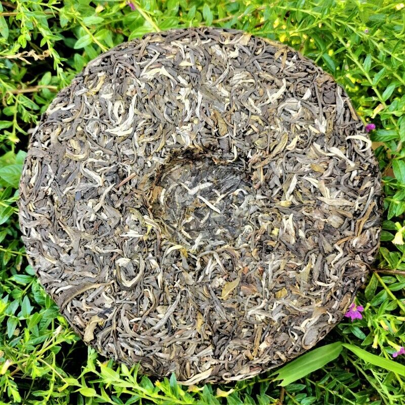 357g Ancient Tree Pu'er Green Tea Zhonghong India Mint Tang Pu'er Cha Tea