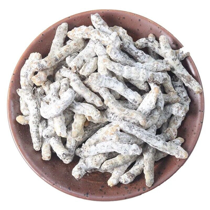 250g / 8.8oz Silkworm Larva (Bombyx Batryticatus / Bombyx Mori)