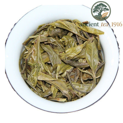 500g 2025 Spring Six Major Tea Mountains Ancient Tree Sprout Sunbathing Pu'er