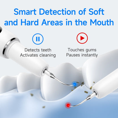 Ultrasonic Portable Dental Scaler Electric Calculus Remover Whitening Cleaner