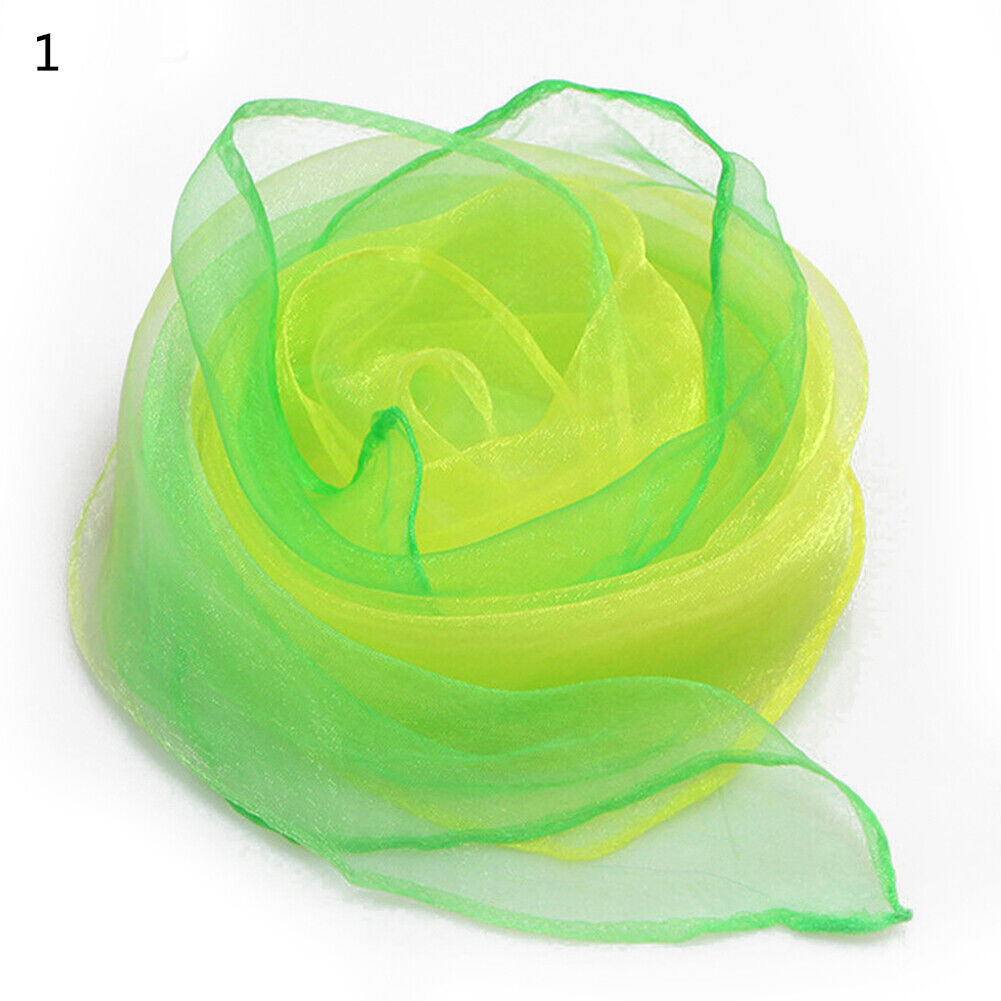 Long Skinny Silk Scarf Narrow Neckerchief Headband Handle Bag Band 105*6cm 1PCS