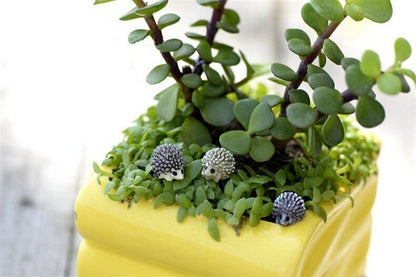 Miniature Hedge Pig Set of 3pcs Resin Hedgehog Mini Figurine Garden Flower Pot