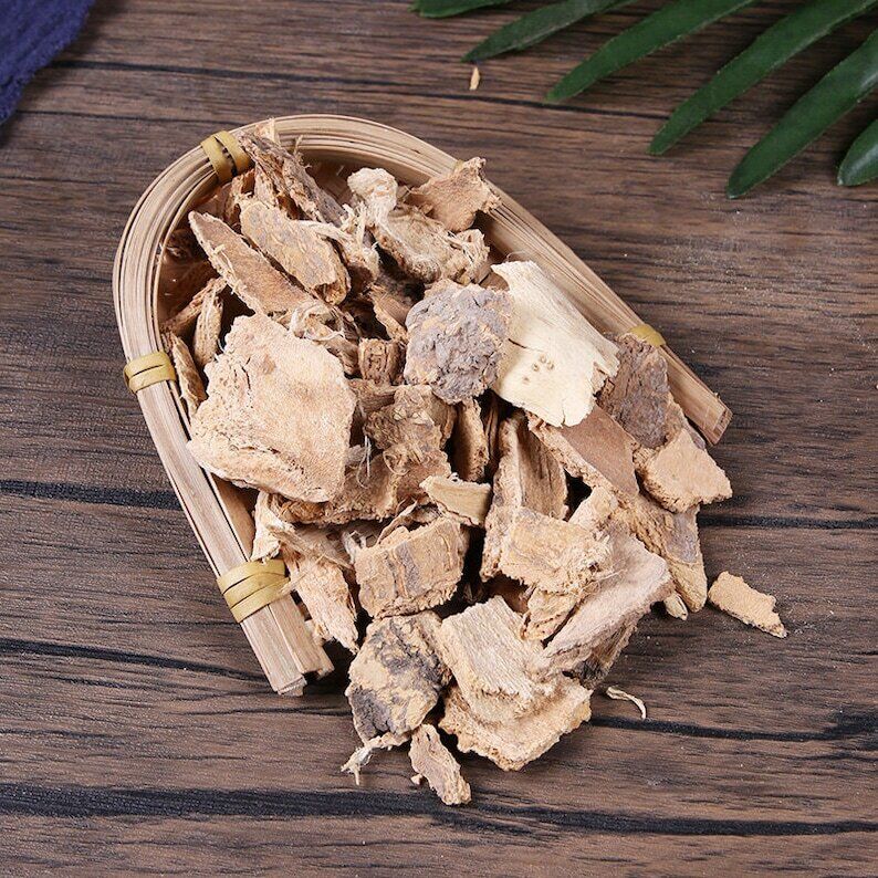 Pure Natural Herbal Tree-of-heaven Ailanthus Bark Cortex Ailanthi Chun Gen Pi