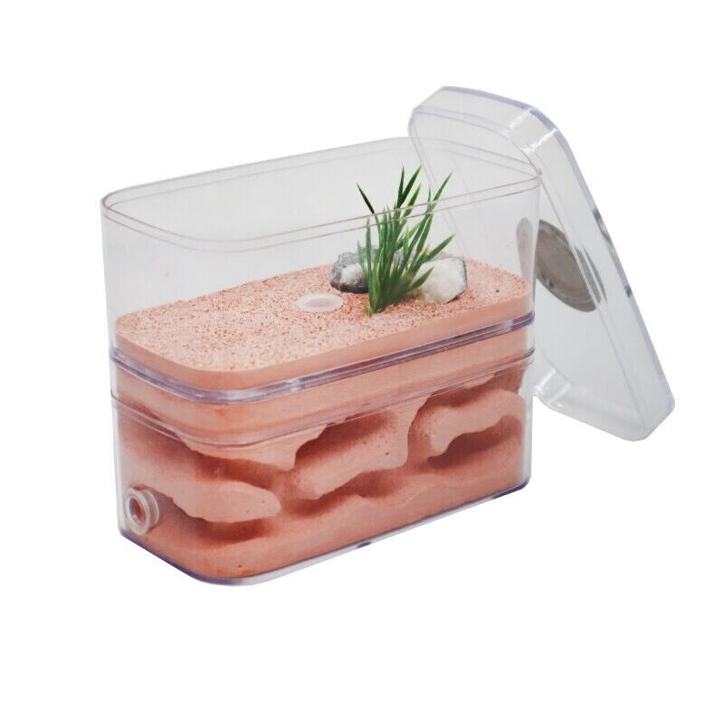Ant Farm PC Shell+Gypsu Nesting Plaster Insects Box Pet Anthill Castle 12x6x10cm