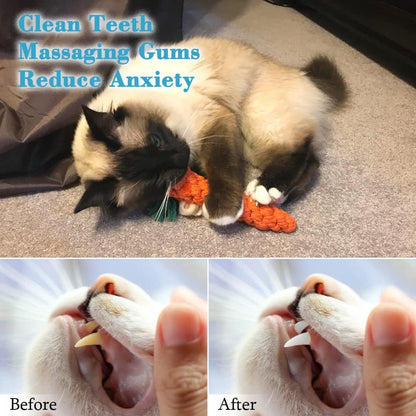 5x Dog Toys Braided Carrot Cotton Rope Puppy Cleaning Teeth Chew Bite Resistant