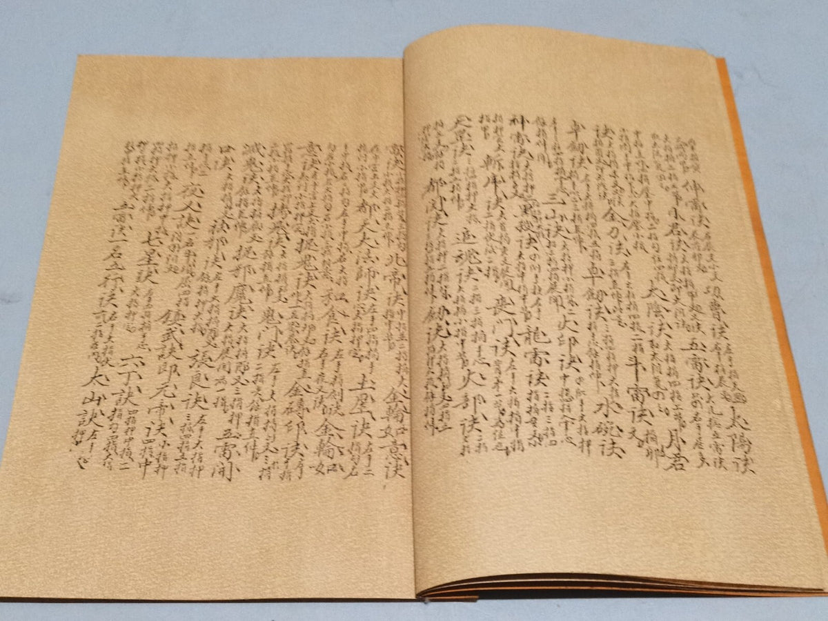 Chinese antique book "The Return of All Evil"