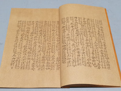 Chinese antique book "The Return of All Evil"