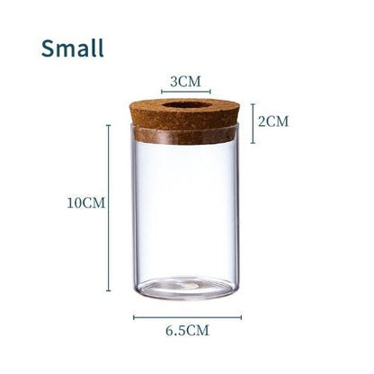Glass Decorative Vase Hydroponic Glass Bottle Hydroponic Ecological Bottle