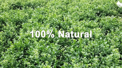 GOARTEA 30Pcs*8g Premium Jasmine Tea Jasmine Dragon Pearl Tea Jasmine Green Tea-