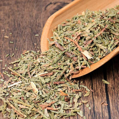 Organic Herbal Cacumen Platycladi Chinese Arborvitae Twig Great Quality