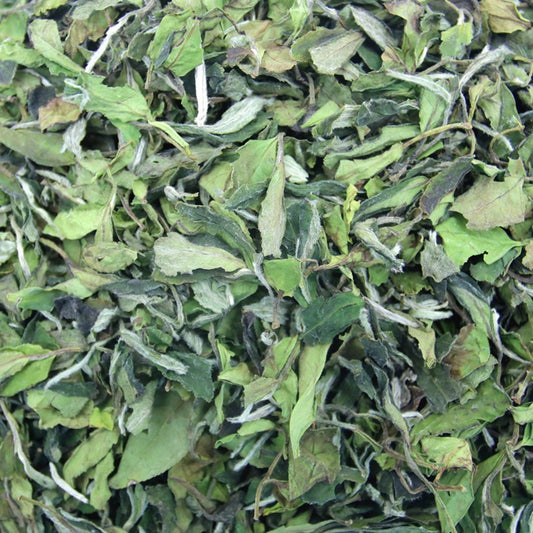 500g Authentic Fuding White Tea 2023 Shoumei White Peony Bulk Aged White Tea