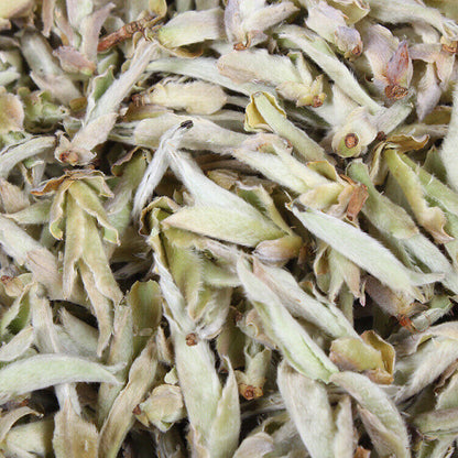 Yunnan Tea Daxue Mountain Early Spring White Buds Old Tree Puerh Raw Tea 500g