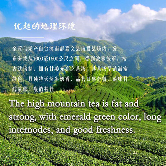 Milk Oolong Tea Finely Selected Speciality Tea 250g