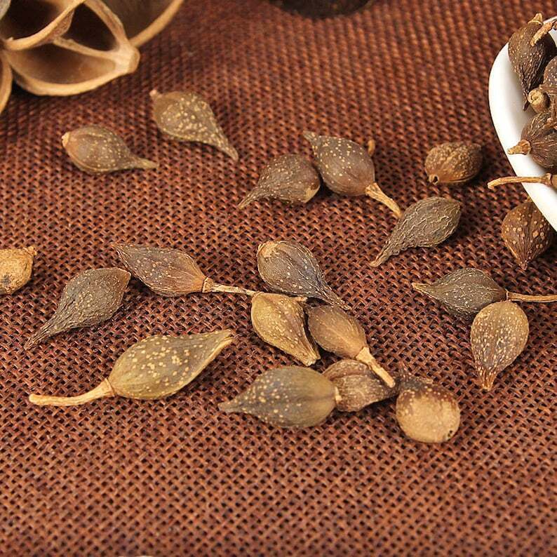 Organic Dried Weeping Forsythiae | Fructus Forsythiae | Lian Qiao