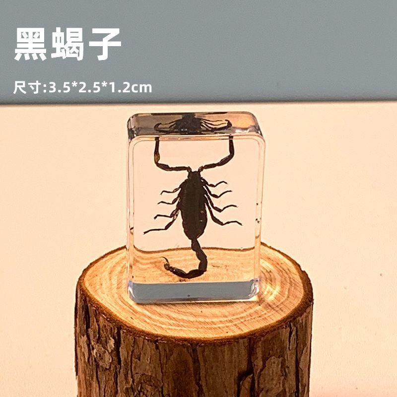 Black Scorpion Resin Insect Specimen 3.5x2.5x1.2cm Educational Toy