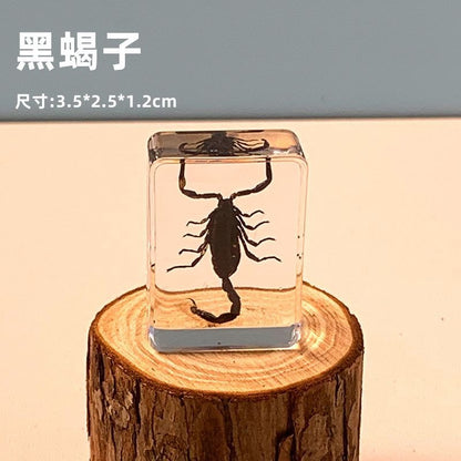 Black Scorpion Resin Insect Specimen 3.5x2.5x1.2cm Educational Toy
