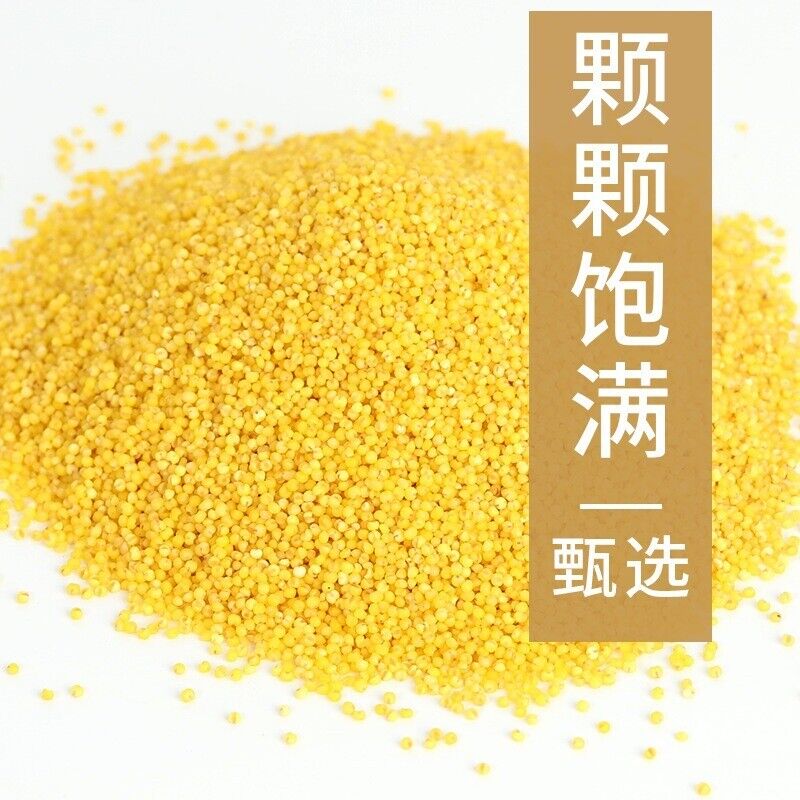 Golden Millet He Lai Xiang Baby Children Shandong High-fiber Yellow Millet 500g