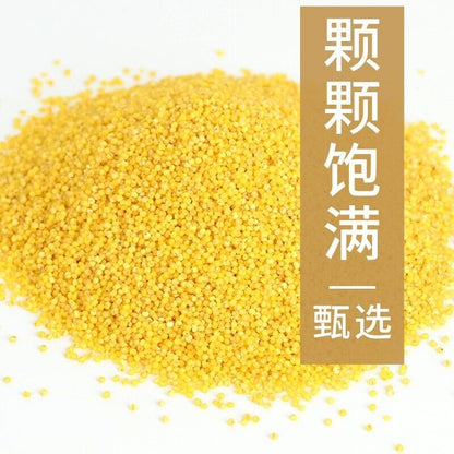Golden Millet He Lai Xiang Baby Children Shandong High-fiber Yellow Millet 500g