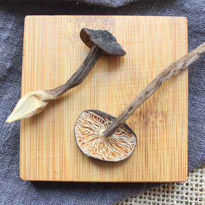 Natural Yunnan black and white ant albumin dried mushrooms-