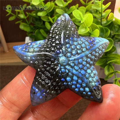 Natural Labradorite Hand Carved Starfish Skull Quartz Crystal Healing Reiki 1pc