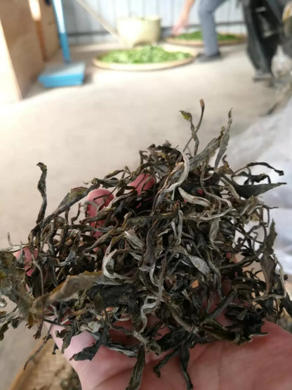 2018y YunNan Organic Pu-erh Tea Puer Tea Raw Tea in 357g Compressed Tea Cake
