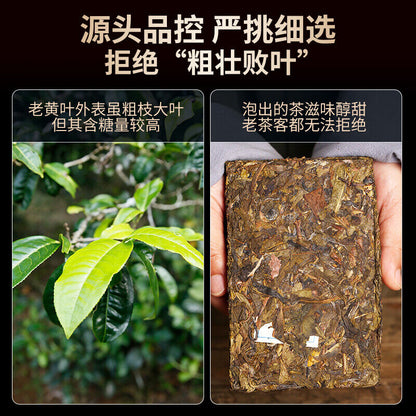 DR. PU'ER TEA Mengku Ba Nuo Yellow Leaf Huang Pian Puer Raw Tea Puerh Brick 500g