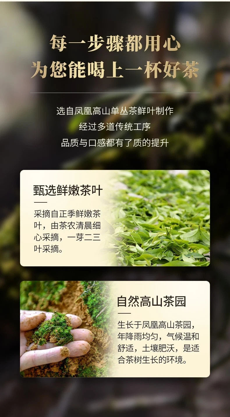 500g Phoenix Dancong Oolong tea FengHuang dancong tea Zhilan Fragrance 125g*4