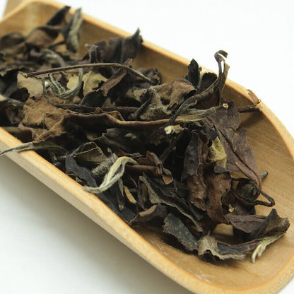 Loose Leaf Old White Tea 2010 Fuding White Tea Weight Loss Healthy Drink 500g