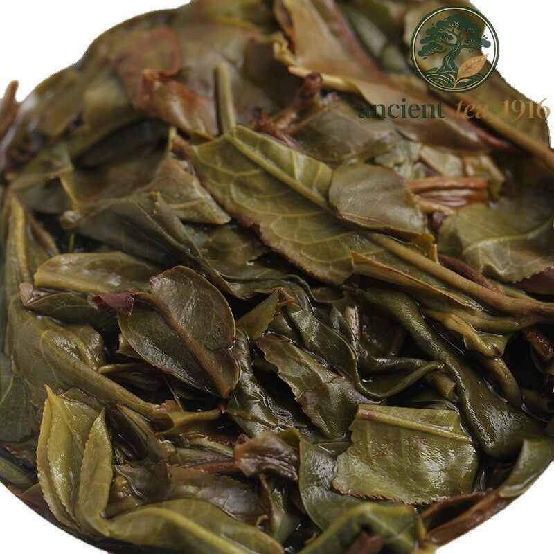 Yunnan Puerh Raw Brick Old Tree Spring Tea Natural Healthy Wellness Drink 45g