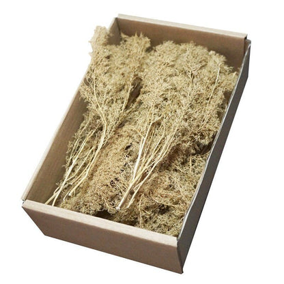 Miniature Quinoa Plant Dry Tree Model DIY Railway Building Sand Table Layout Kit