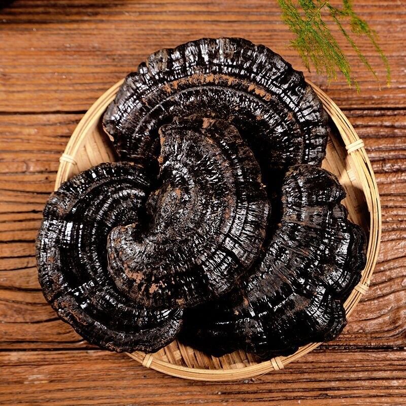 250g/500g Reishi Soup Purple Black Ganoderma Lucidum Lingzhi Mushroom Herbs长白山灵芝