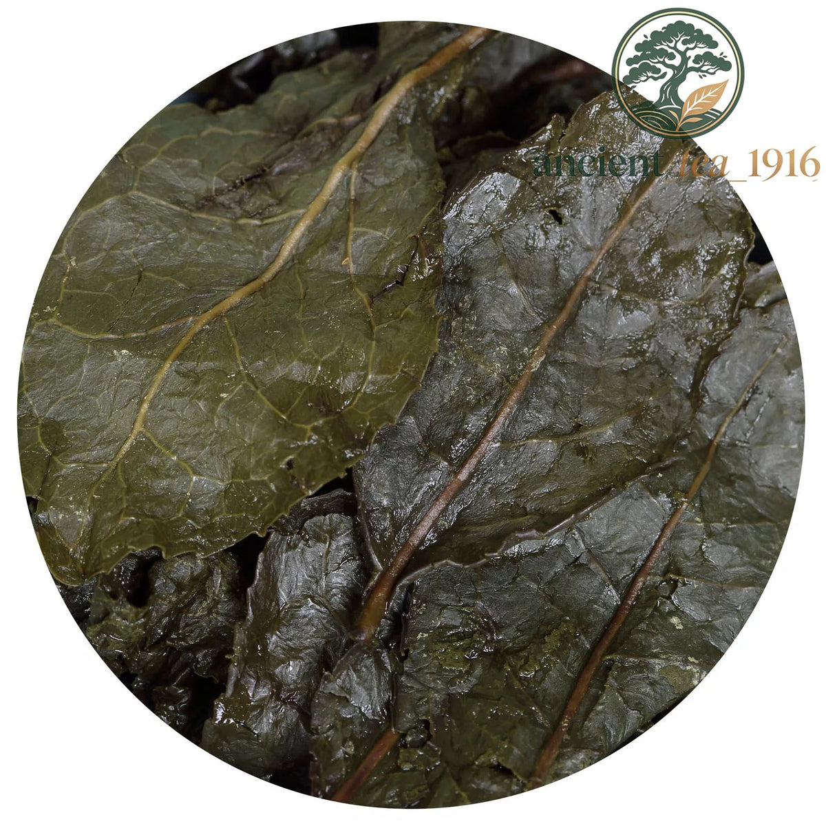 500g Taiwan Ginseng Oolong Tea Lan Gui Ren High Mount Ren Shen Loose