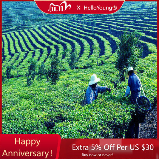 357g Chinese Tea Early Spring Pu'er Ripper Tea MenghaiQi Zi Black Tea Cake-