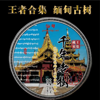 Myanmar Puerh Tea Ancient Tree Tea Raw Tea 357g Thousand Year Old Tree