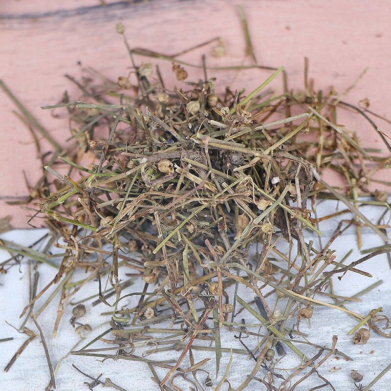 New Crocus sativus Herbal Medicine Crocus sativus Agricultural Product 500g