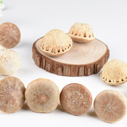 Insect free Wind Fruit Bulk Turtle Head