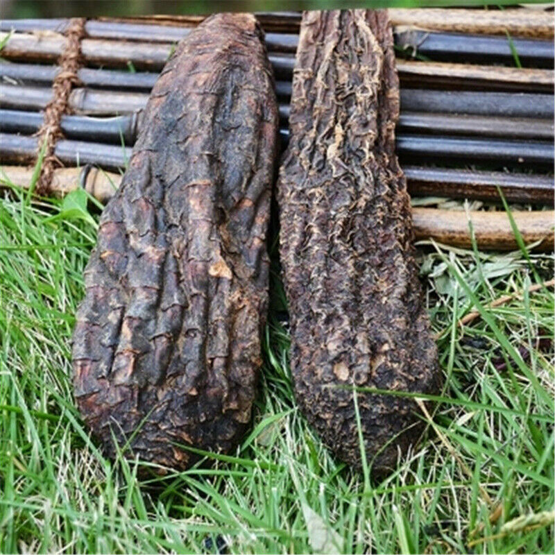500g/1000g Natural Sinkiang Desertliving Cistanche Herb Wild Tonic Rou Song Rong