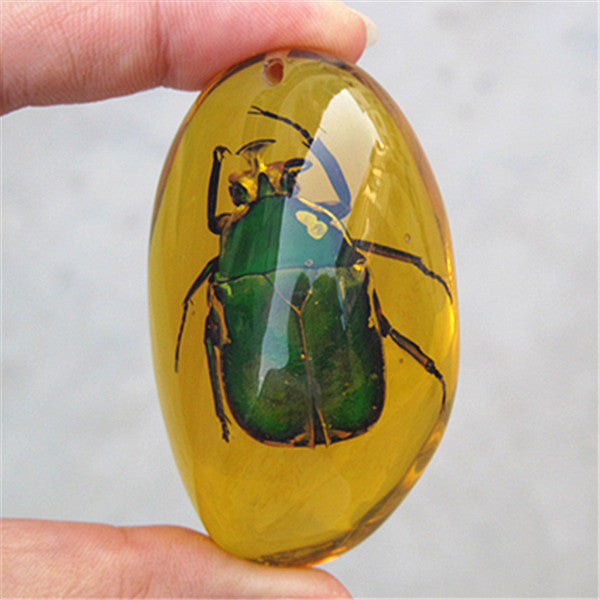 Beautiful Amber beetle Fossil Insects Manual Polishing .