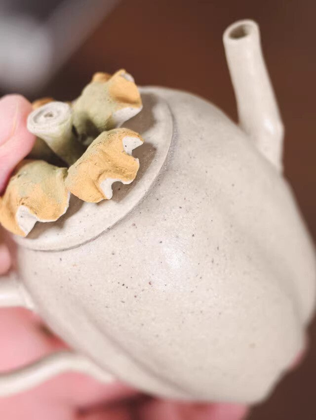 160cc chinese Yixing Handmade Zisha teapot white Clay shizi hu Gongfu Tea Pot