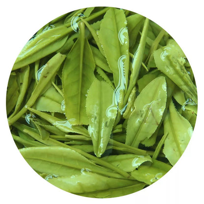 500g Supreme Anji Baicha Baipian White Slice Tea Spring Chinese GREEN TEA
