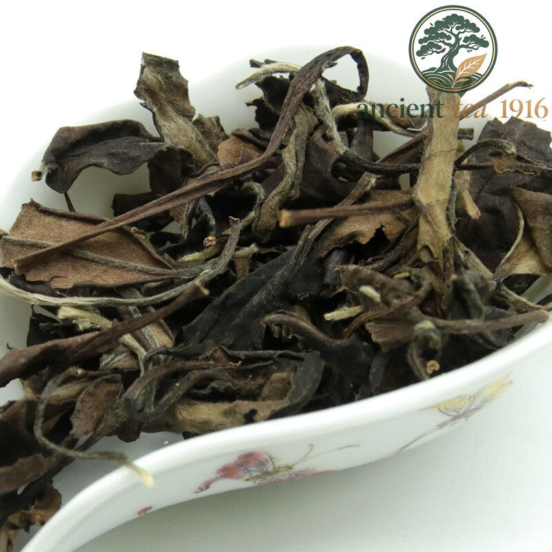 500g Organic Fuding White Tea Loose Leaf Natural Healthy Premium Drink