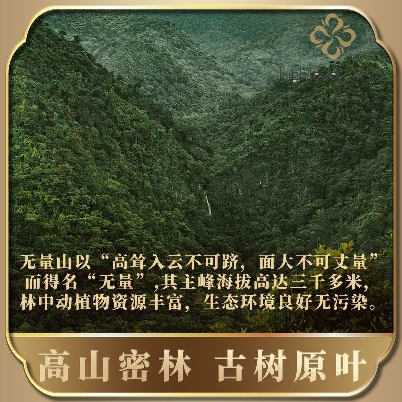 357G 2010 Wuliang Mountain Pu'er Tea Black Tea Yunnan Ancient Tree Tea Cake -
