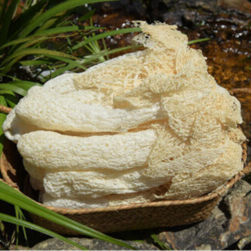 100g Organic Bamboo Fungus Natural China Dictyophora for Soup Ingredients Zhusun