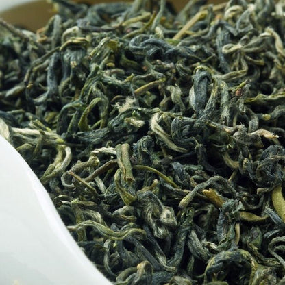 Chinese Guizhou Du Yun Mao Jian Spring Tea Fishhook Maojian Green Tea 250g