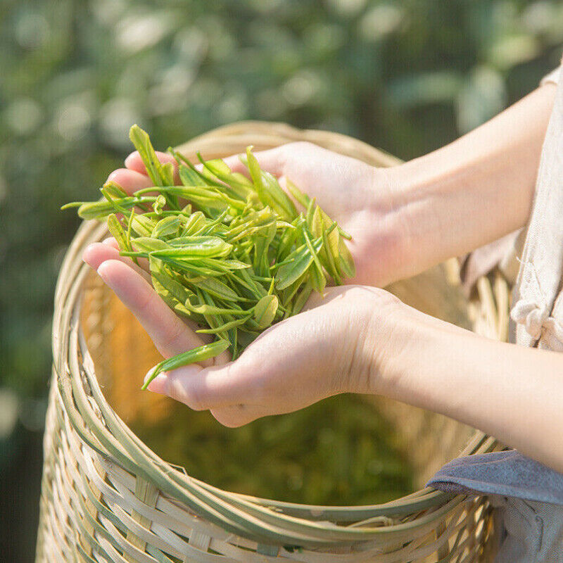 Natural Spring New Tea Anji Baicha Healthy Herbal Tea八马茶叶 正宗安吉白茶 年春茶新茶 味醇鲜爽
