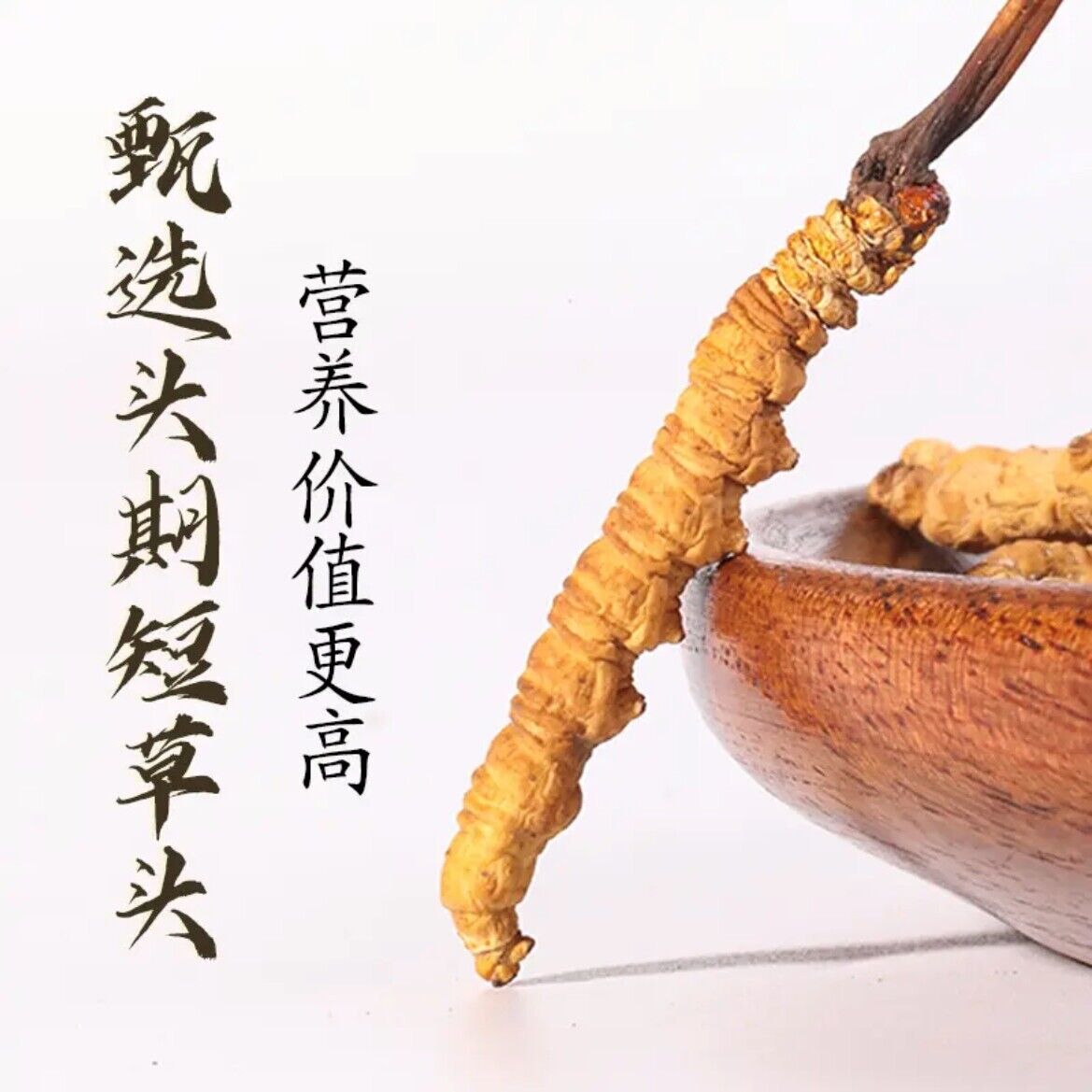 Wild Tibetan Aweto Chinese Caterpillar Fungus Cordyceps Sinensis 10 pieces 5g