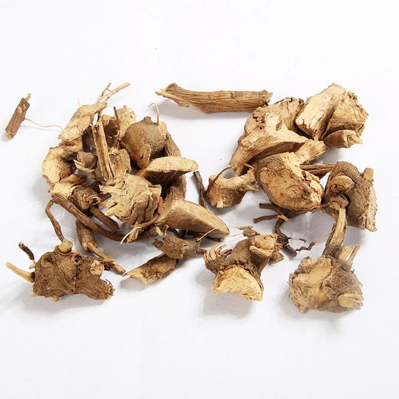 Organic Herbal Radix Ardisiae Crenatae Coral Ardisia Root Zushagen Great Quality