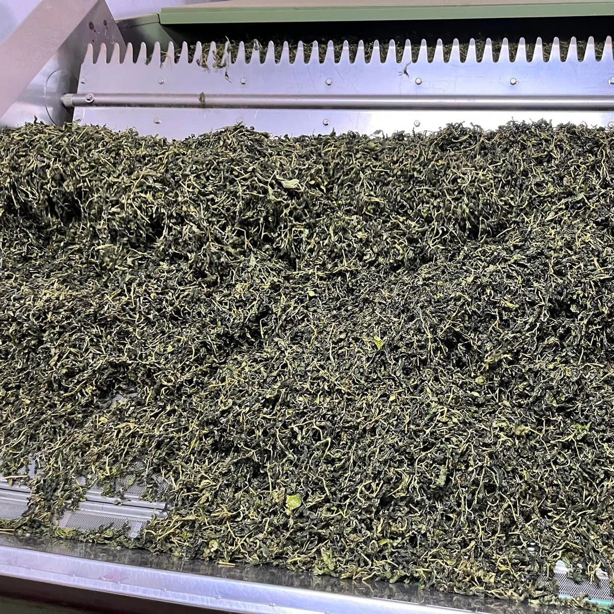 Taiwan unique tea,TTES No.12 (Jhinshuan),Namasya Jinxuan oolong tea,150g*4